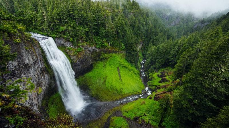लोक उत्सव की रंगारंग तस्वीरें