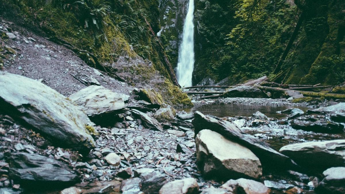 स्वच्छता सर्वेक्षण की तैयारी में जुटा इंदौर, वार्डों में विशेष अभियान